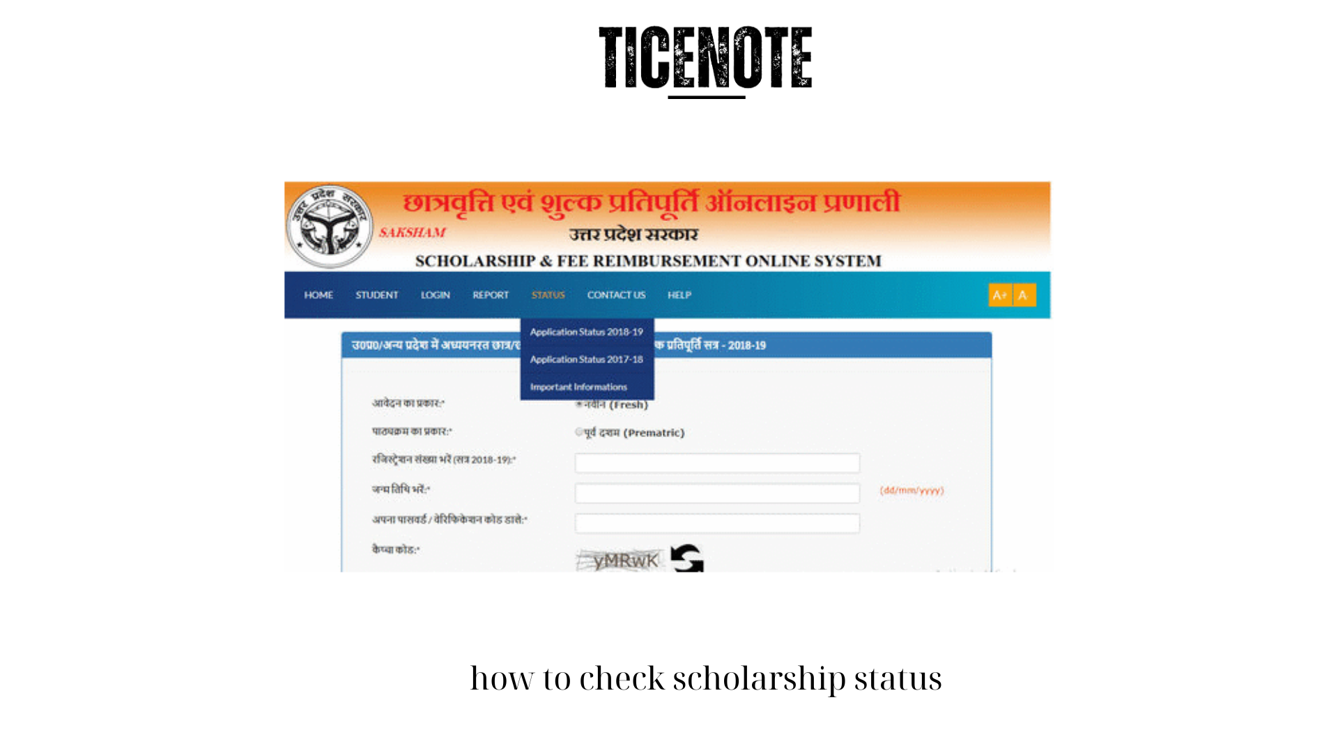 How to Check Scholarship Status: A Step-by-Step Guide