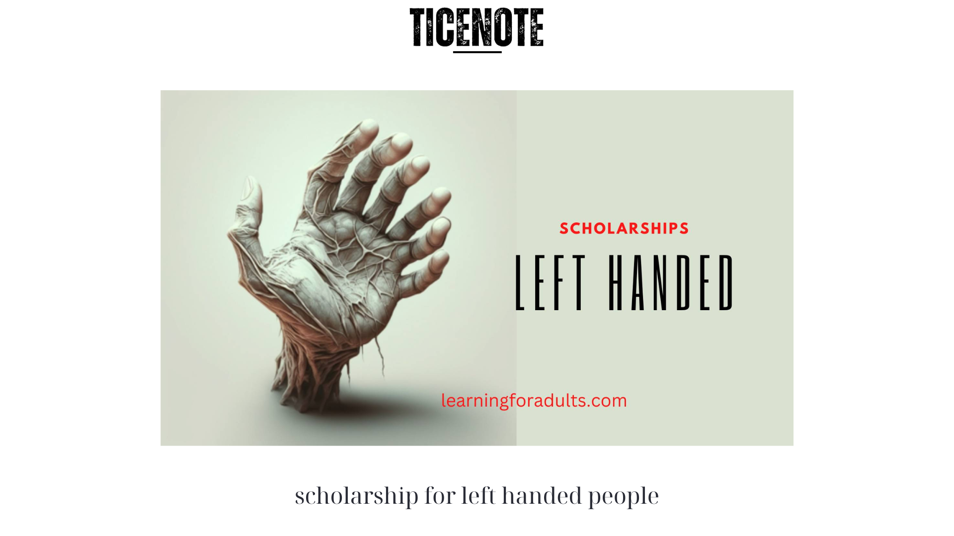 Scholarship for Left Handed People: Opportunities for Southpaws